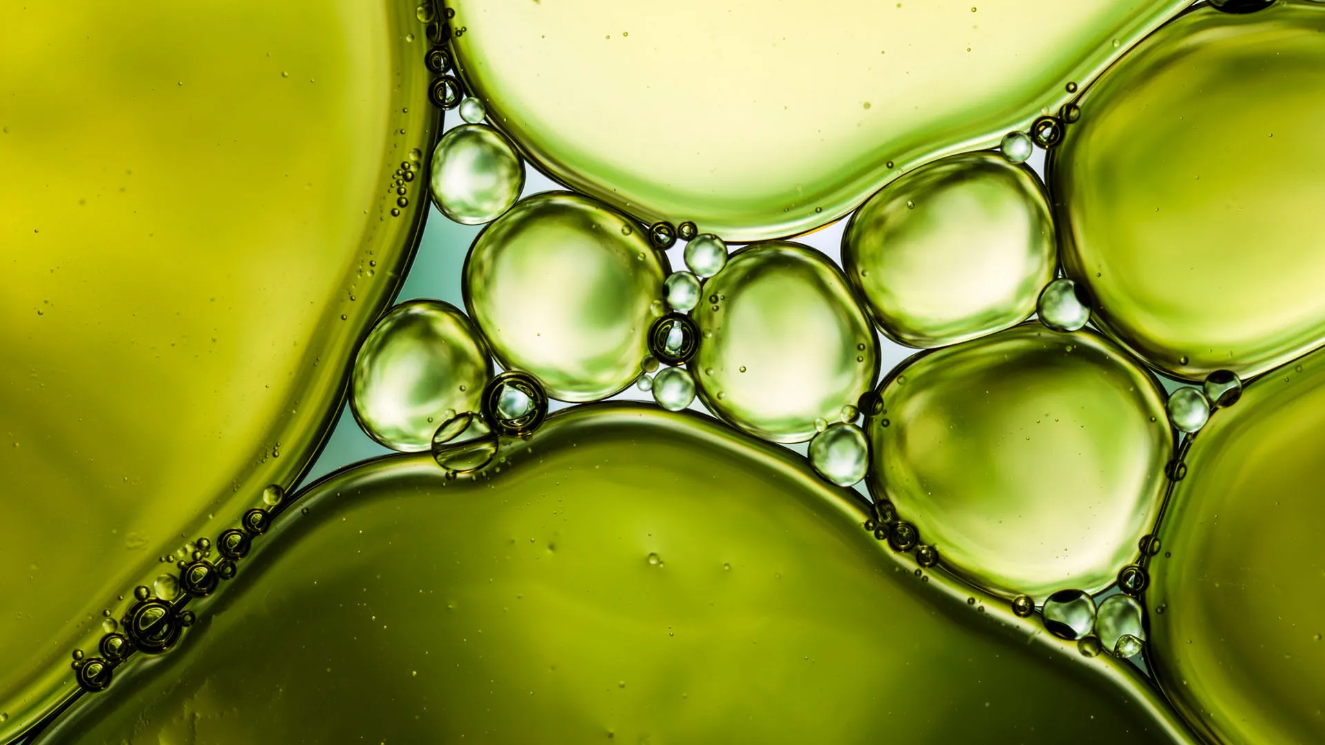 Curso on-line orienta detox completo para eliminar mofo, parasitas e metais pesados - Imagem do artigo original